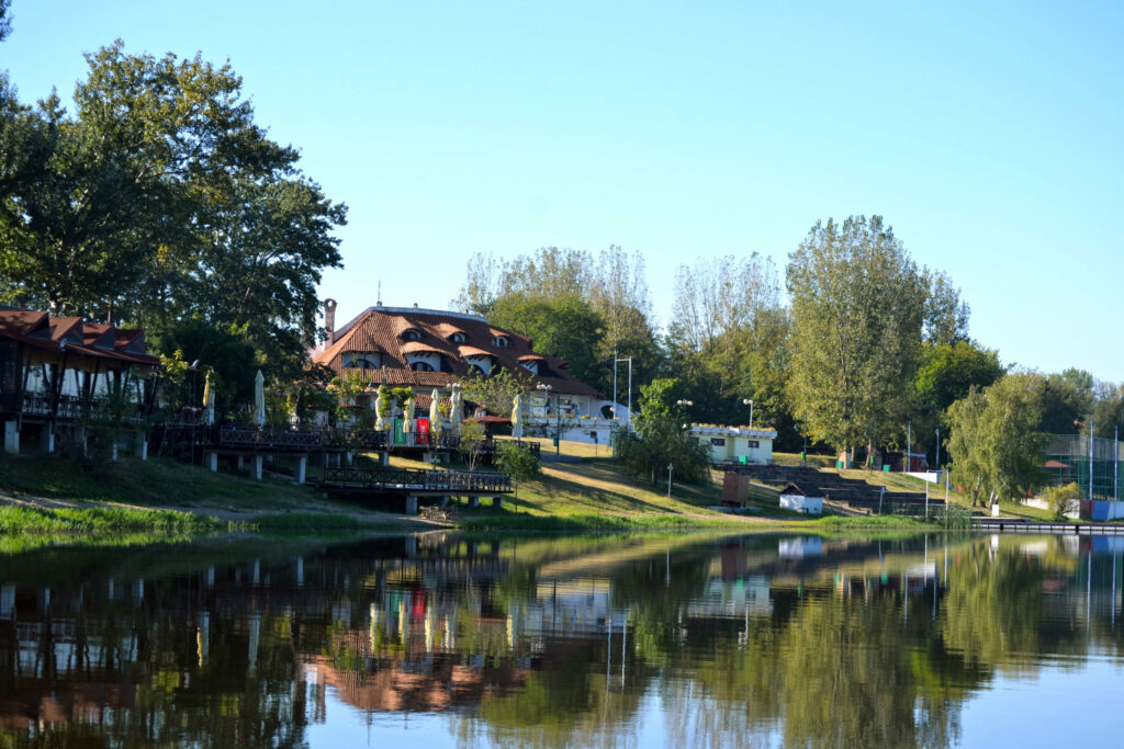 srebrno6